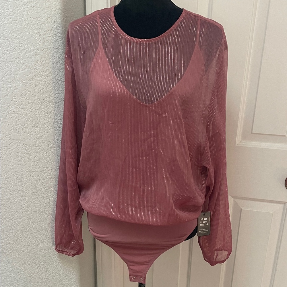 Express Sheer Mauve Bodysuit